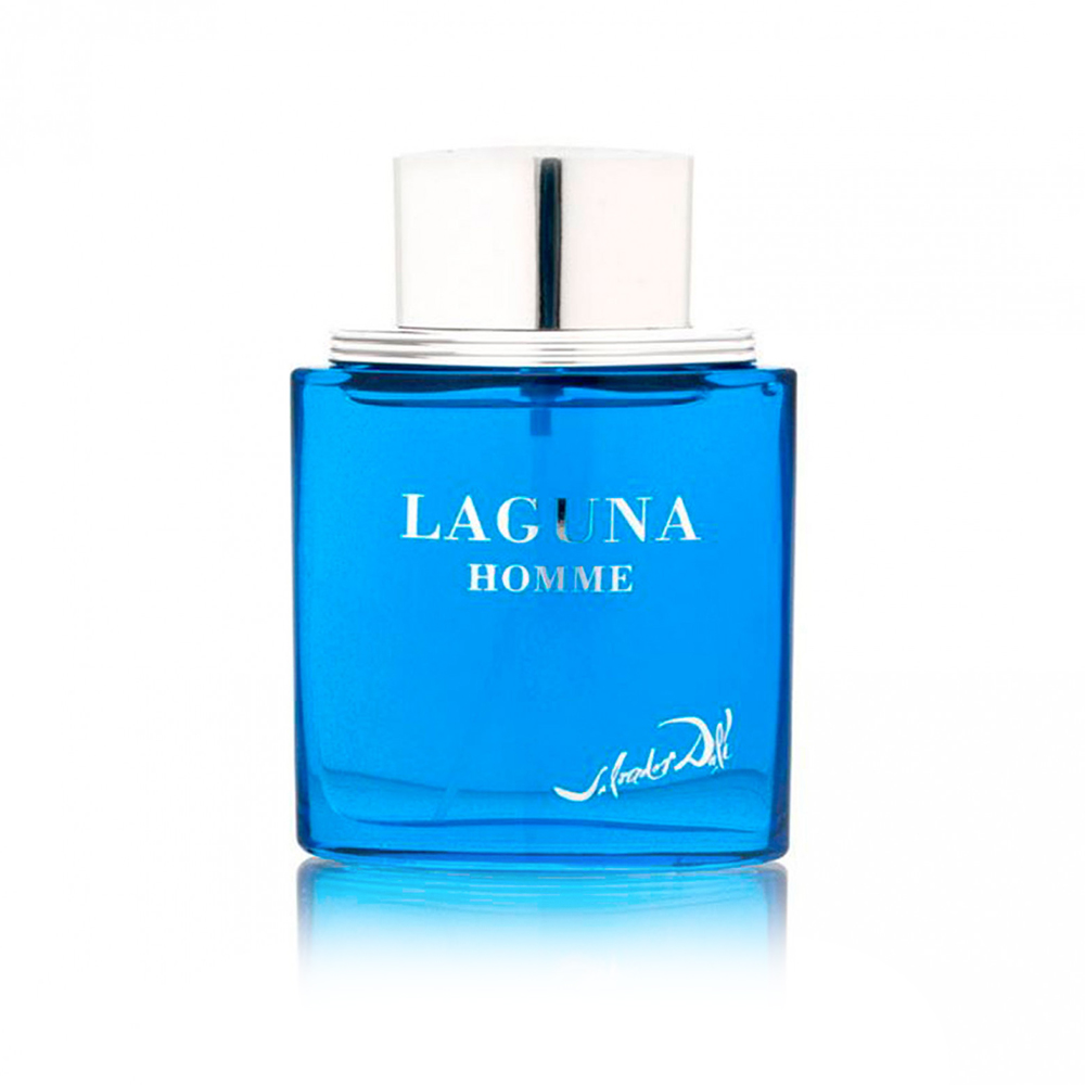 Salvador Dali – Laguna